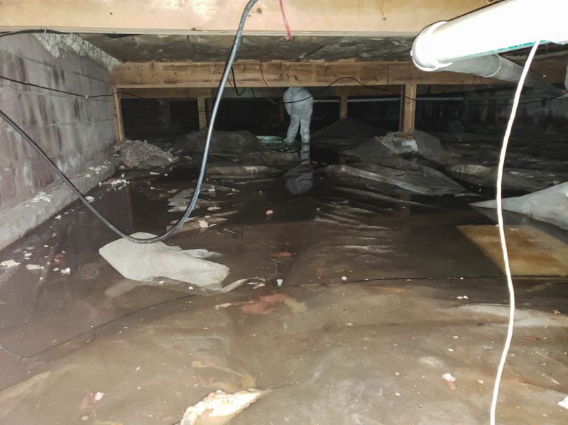 Basement Water Cleanup in Chandler, AZ