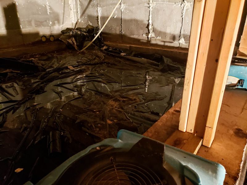 Water Extraction Service in Mesa, AZ